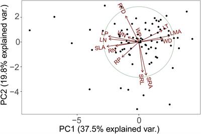 Differing Trade-Off Patterns of Tree Vegetative Organs in a Tropical <mark class="highlighted">Cloud Forest</mark>